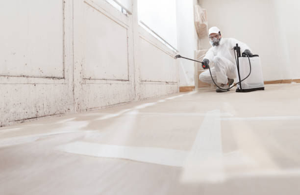 24/7 Emergency Crawl Space Mold Removal experts in Elk Grove Village, IL